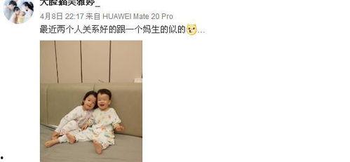 苏醒爆料吴雅婷视频大全,揭秘背后惊人内幕